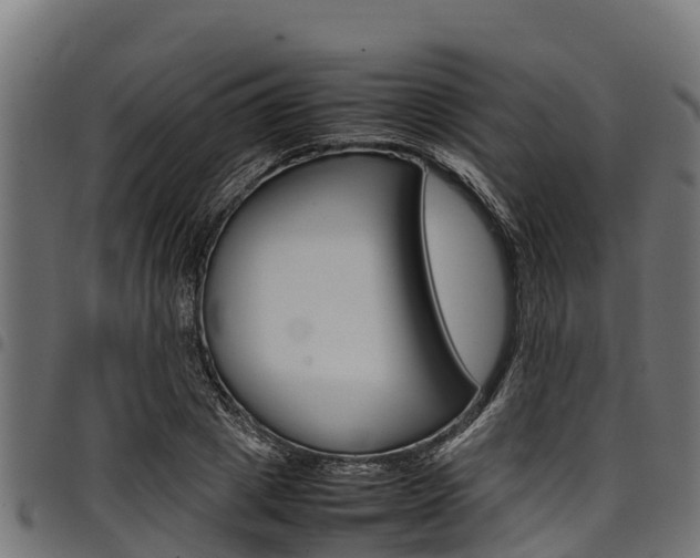 X0000098020833200803280751