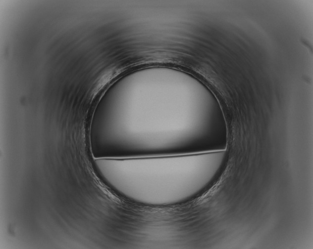 X0000098020834200803280751