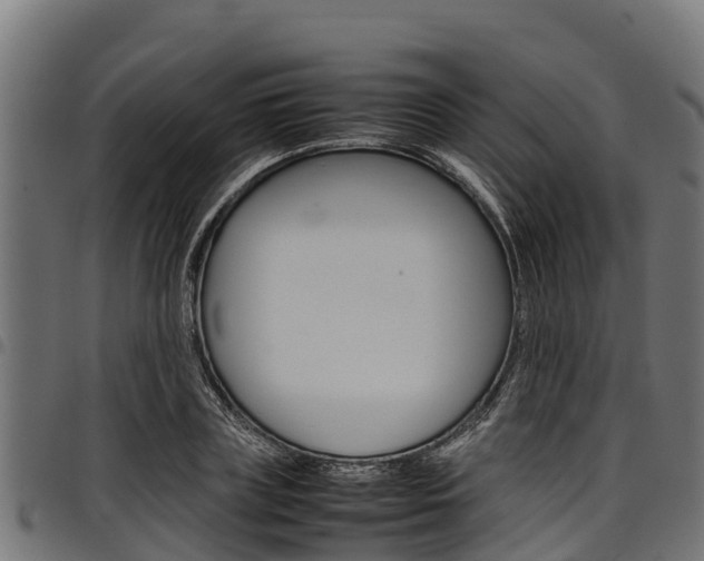 X0000098020835200803280751