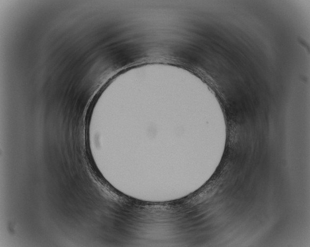 X0000098020836200803280751