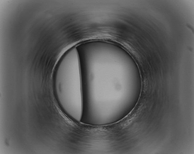 X0000098020838200803280751
