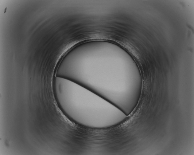 X0000098020839200803280751