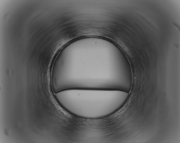 X0000098020840200803280751