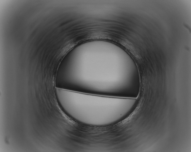 X0000098020841200803280751