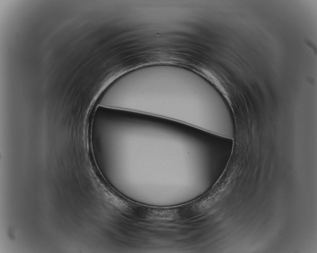 X0000098020843200803280751