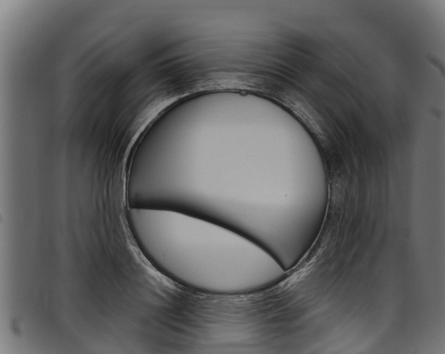 X0000098020844200803280751