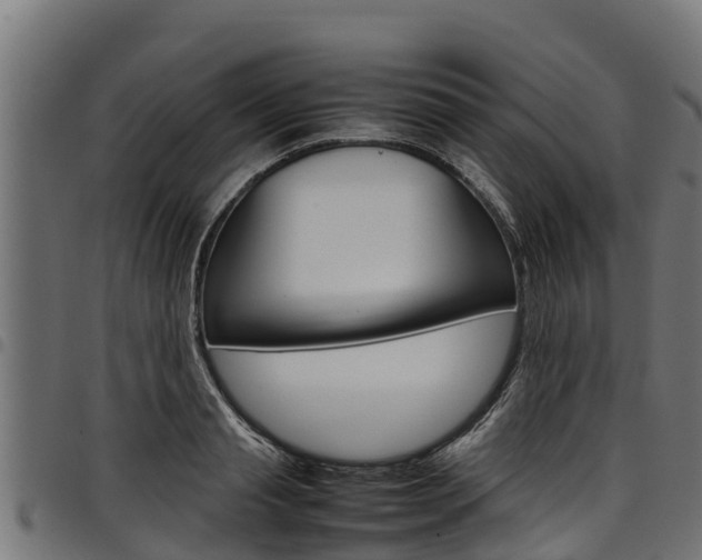 X0000098020845200803280751