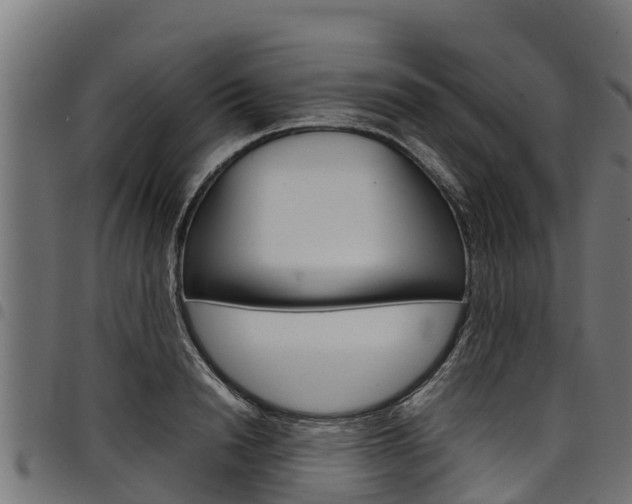 X0000098020846200803280751
