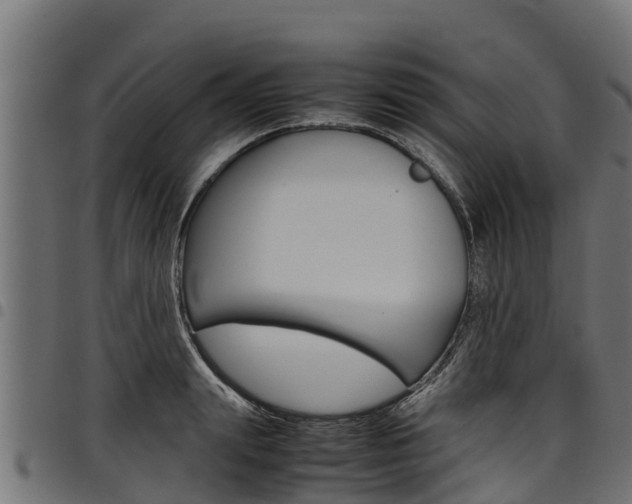X0000098020847200803280751