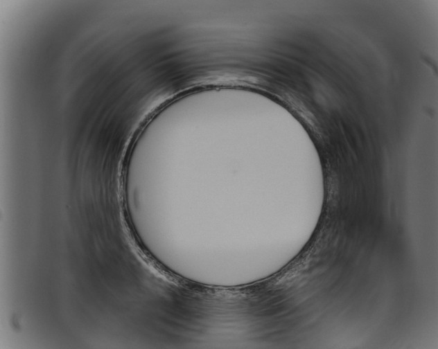 X0000098020848200803280751