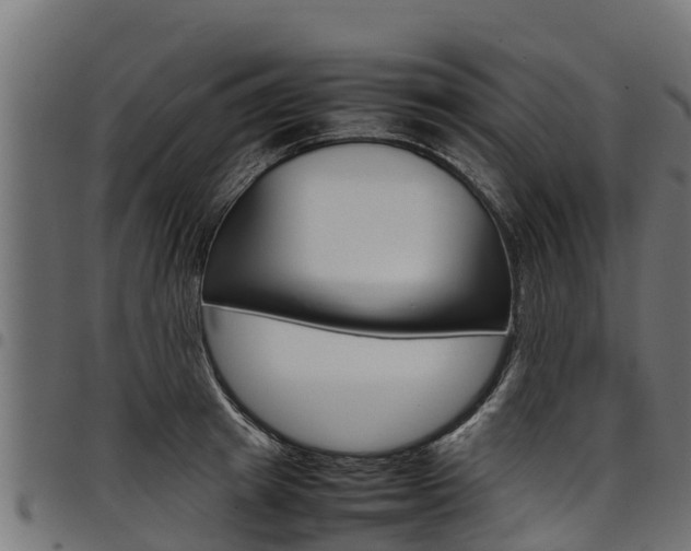 X0000098020849200803280751