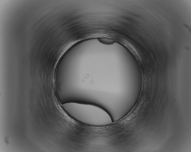 X0000098020852200803280751