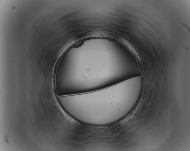 X0000098020853200803280751