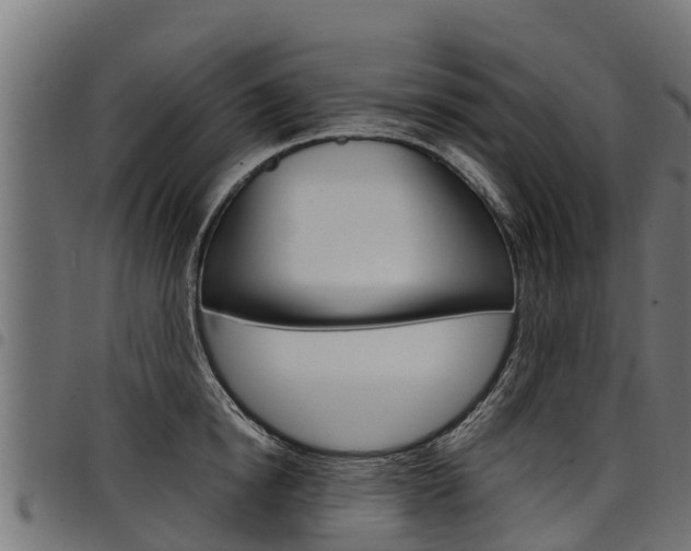 X0000098020854200803280751
