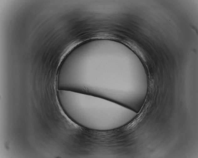 X0000098020855200803280751