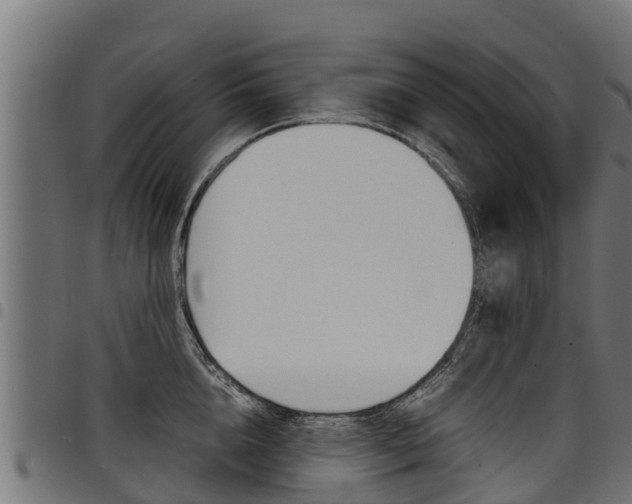 X0000098020856200803280751