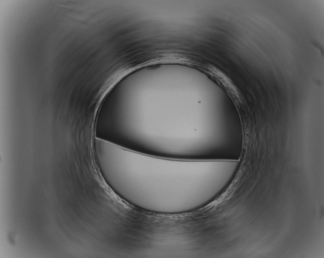 X0000098020860200803280751