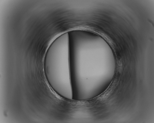 X0000098020862200803280751