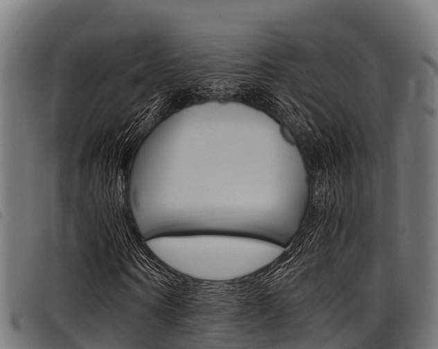 X0000098020866200803280751