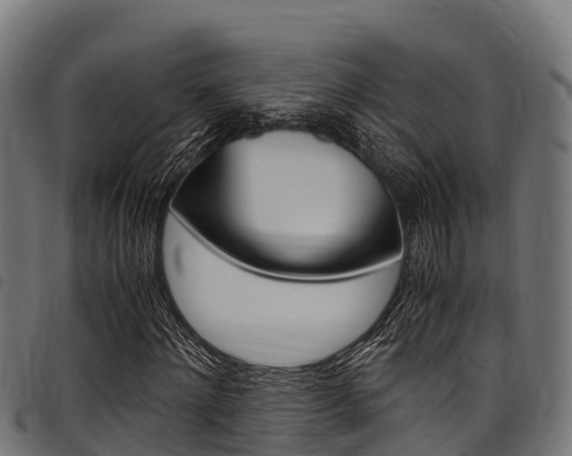 X0000098020868200803280751