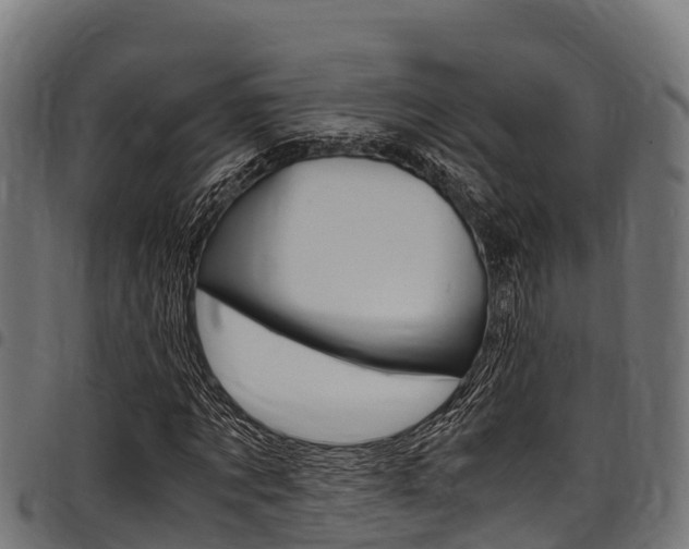 X0000098020869200803280751
