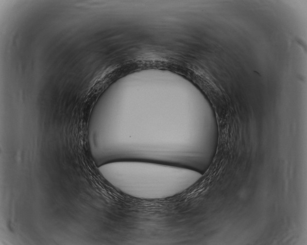 X0000098020870200803280751