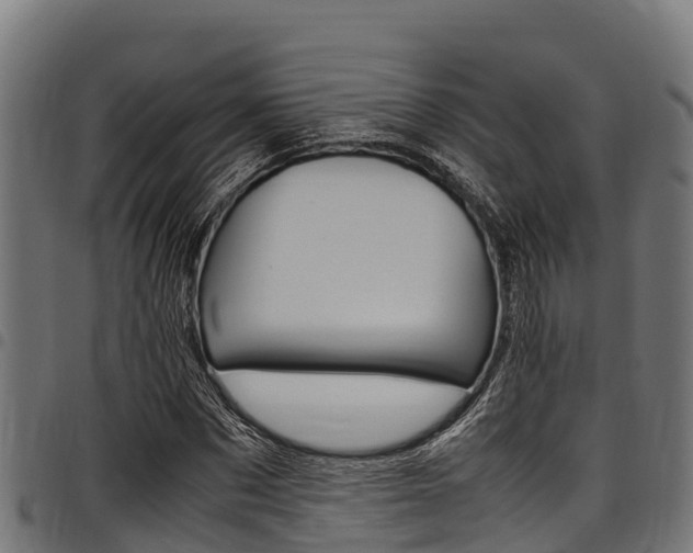 X0000098020873200803280751