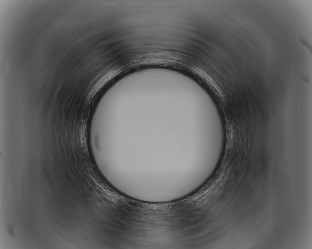 X0000098020874200803280751