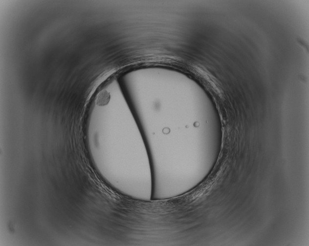 X0000098020875200803280751