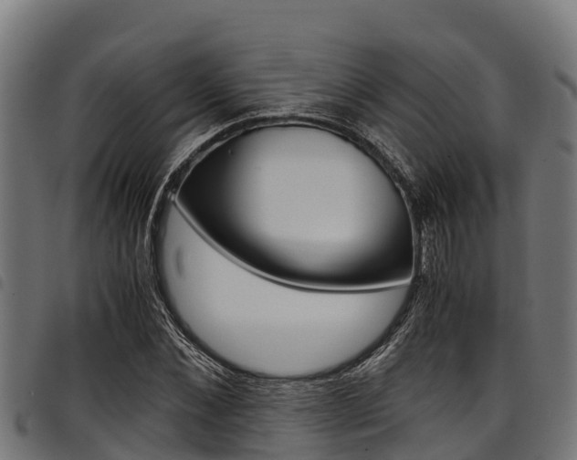 X0000098020876200803280751