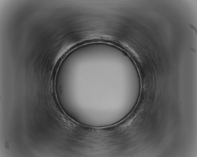 X0000098020877200803280751