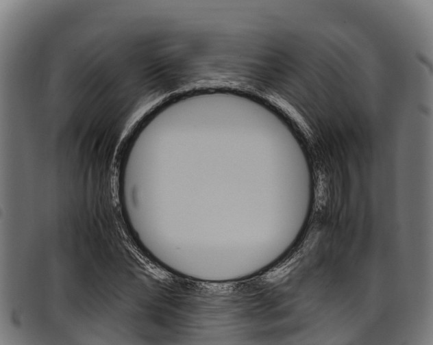 X0000098020878200803280751