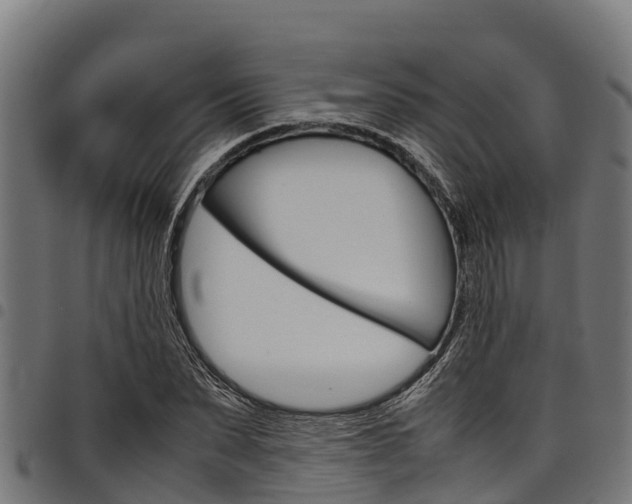 X0000098020879200803280751