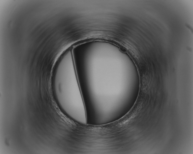 X0000098020880200803280751