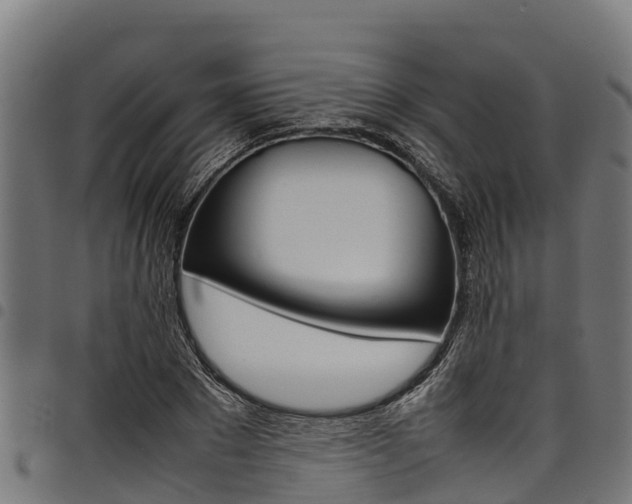 X0000098020881200803280751