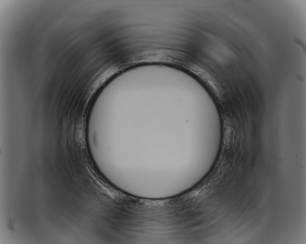 X0000098020882200803280751