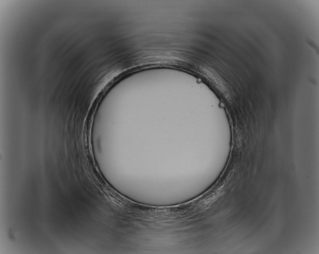 X0000098020883200803280751