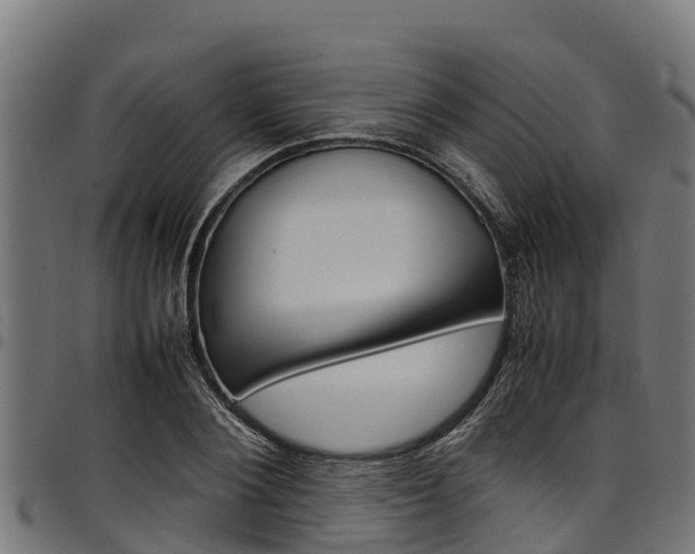 X0000098020884200803280751