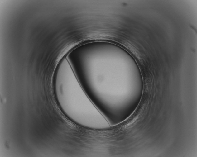 X0000098020885200803280751