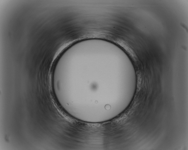 X0000098020886200803280751