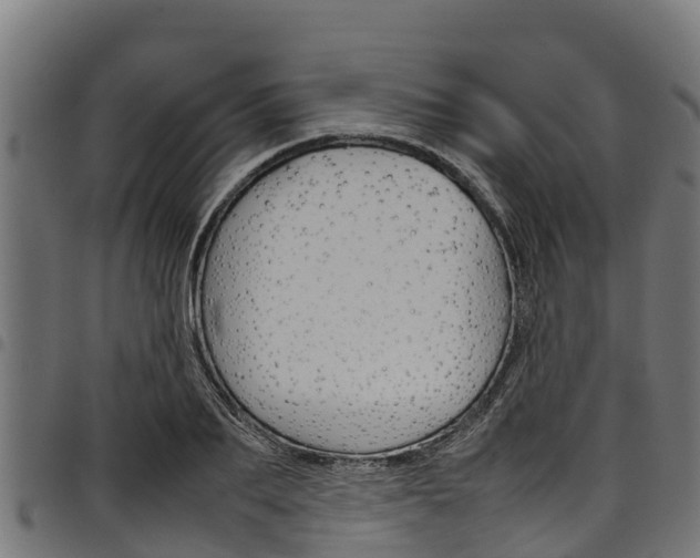 X0000098020887200803280751