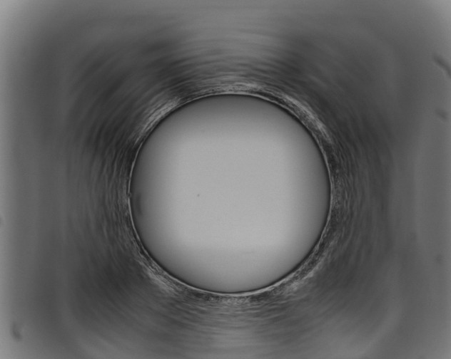 X0000098020889200803280751