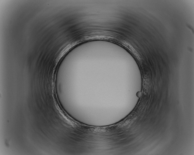 X0000098020890200803280751