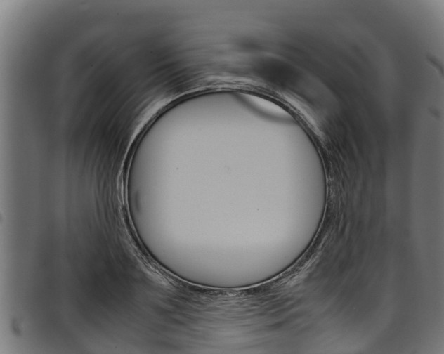 X0000098020891200803280751