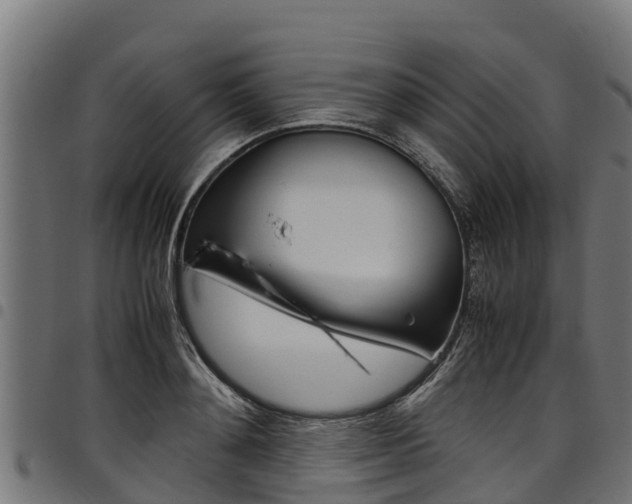 X0000098020892200803280750