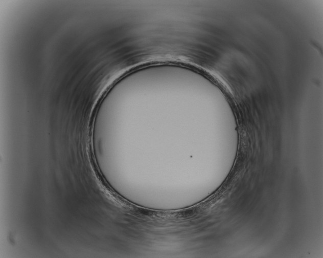 X0000098020895200803280750
