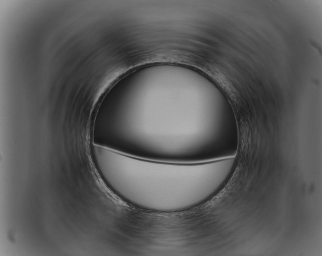 X0000098020896200803280750