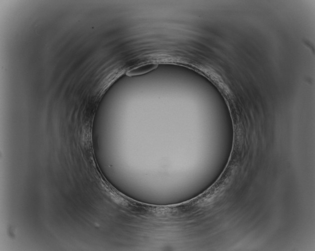 X0000098020897200803280750