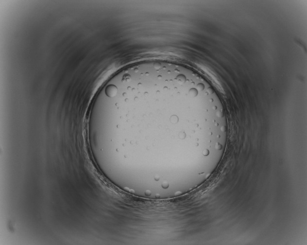 X0000098020899200803280750