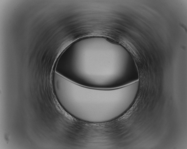 X0000098020900200803280750